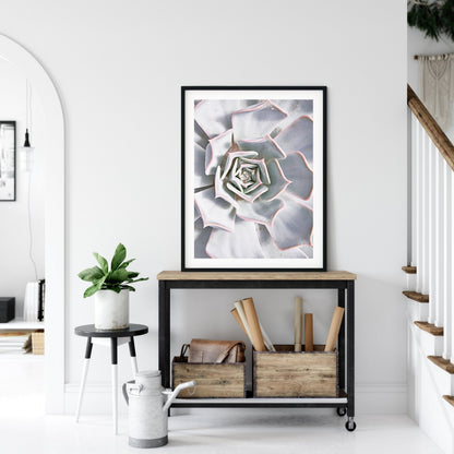 Botanical Print Cactus Flower Plants, Modern Wall Art, Home Decor Print