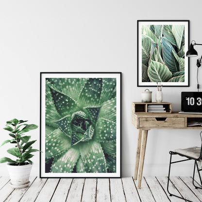 Succulent Art Print, Cactus Wall Art, Succulents and Cacti,Home Decor Print