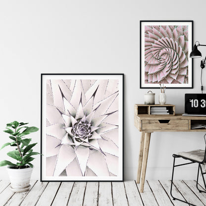 White Cactus Decor,Succulent Wall Art,Succulents and Cacti,Home Decor Print