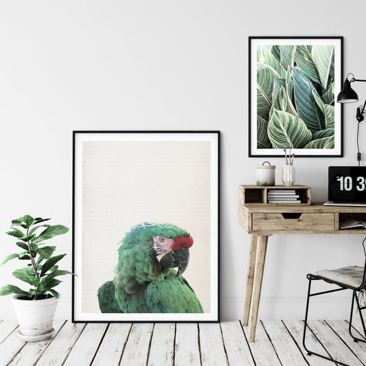 Parrot Print, Emerald Parrot Art, Macaw Print, Home Decor Animal Printable