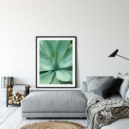 Agave Print, Succulent Prints, Minimal Agave Print, Garden Prints, Wall Art Decor