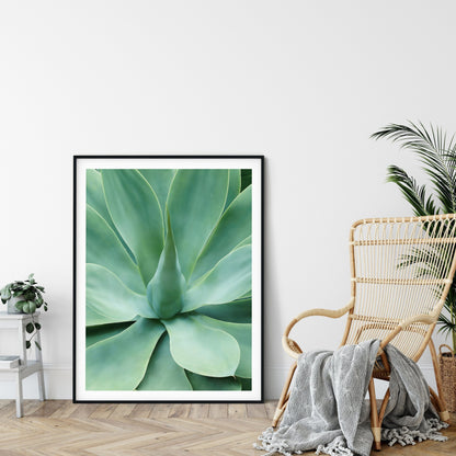 Agave Print, Succulent Prints, Minimal Agave Print, Garden Prints, Wall Art Decor