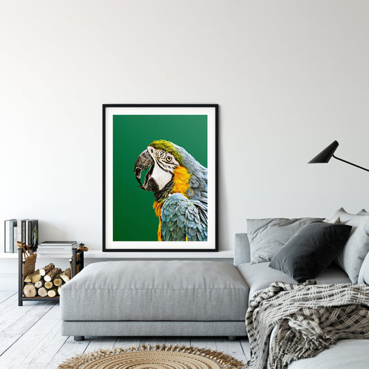 Macaw Parrot Print, Tropical Photo, Parrot Wall Art, Home Decor Animal Prints