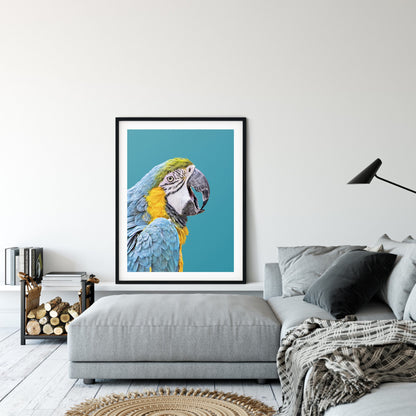 Parrot Artwork, Turquoise Bird Printable Wall Art, Home Decor Animal Prints