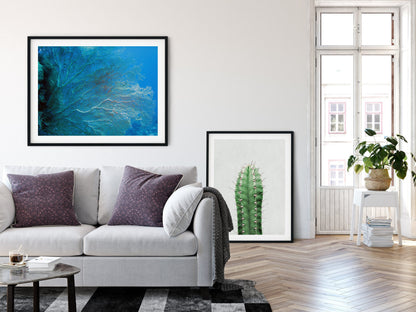 Coral Prints, Navy Decor, Underwater Photography, Aqua Print, Home Decor Print