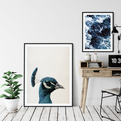 Peacock Print,Bird Art,Peacock Bird Wall Artwork,Home Decor Animal Printable