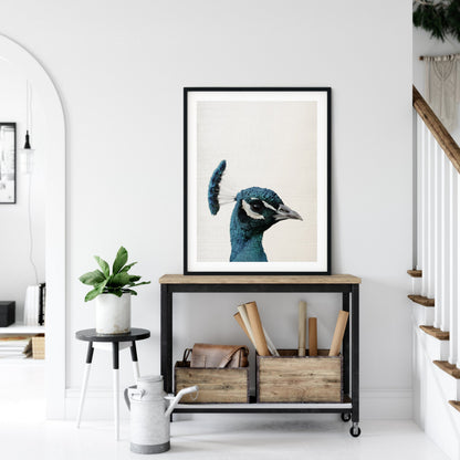 Peacock Print,Bird Art,Peacock Bird Wall Artwork,Home Decor Animal Printable