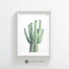 Cactus Art Print, Cacti Photography, Mexican Art, Neutral Print, Home Decor Print