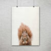 Squirrel Print, Squirrel Art, Squirrel Decor, Squirrel Printable, Home Decor Print