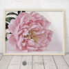 Pink Peony Wall Art, Flower Printable, Peony Print, Flowers Home Decor Print