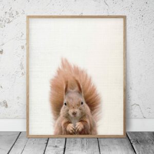 Squirrel Print, Squirrel Art, Squirrel Decor, Squirrel Printable, Home Decor Print