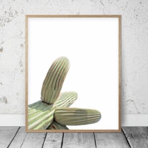 Cactus Decor, Tropical Art, Cactus Photography, Desert Art, Home Decor Print
