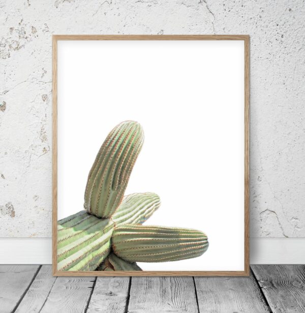 Cactus Decor, Tropical Art, Cactus Photography, Desert Art, Home Decor Print