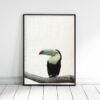 Toucan Print, Tropical Bird, Toucan Art, Tropical Art, Home Decor Animal Printable