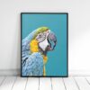 Parrot Artwork, Turquoise Bird Printable Wall Art, Home Decor Animal Prints
