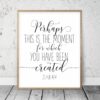 Perhaps This Is The Moment For Which You Have Been Created, Esther 4:14, Printable Bible Verse
