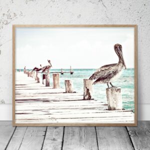 Coastal Wall Art, Pelican Print, Bird Prints, Pelican Wall Art, Home Decor Print