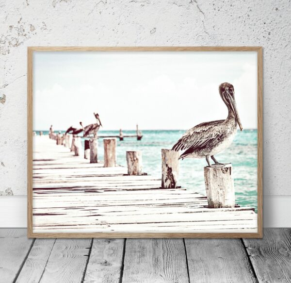Coastal Wall Art, Pelican Print, Bird Prints, Pelican Wall Art, Home Decor Print