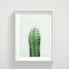 Cactus Printable Wall Art, Mexican Decor, Botanical Print, Home Decor Print