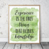 Experience Is The Only Thing That Brings Knowledge, Nursery Print Wall Art
