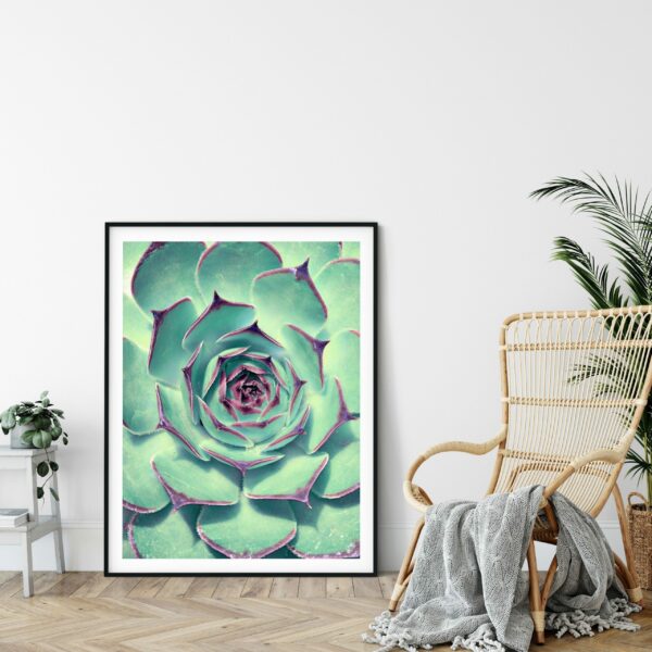 Cactus Print Art, Mexican Print, Cactus Decor, Nursery Prints, Home Decor Print