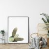 Cactus Decor, Tropical Art, Cactus Photography, Desert Art, Home Decor Print