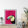 Toucan Picture, Tropical Birds Wall Art, Toucan Print, Home Decor Animal Printable