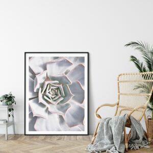 Botanical Print Cactus Flower Plants, Modern Wall Art, Home Decor Print