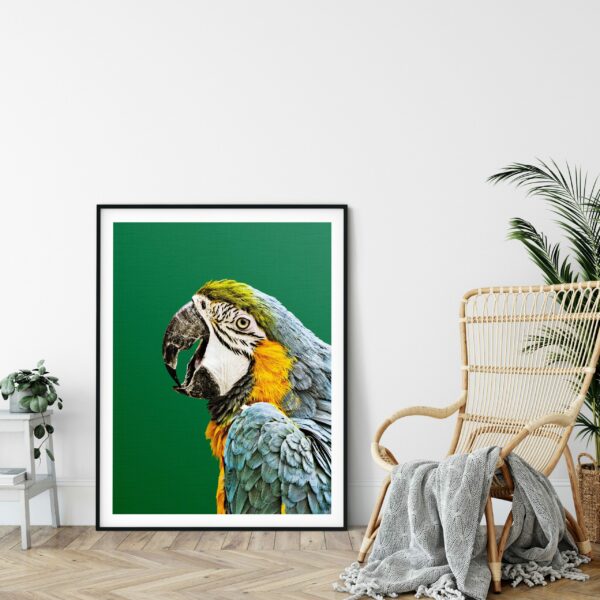 Macaw Parrot Print, Tropical Photo, Parrot Wall Art, Home Decor Animal Prints