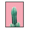 Pink Botanical Cactus Poster Print Wall Art Home Decor