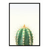 Cactus Poster Print, Cacti Wall Art Home Decor Print