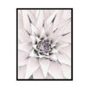 White Cactus Poster Print,Succulents and Cacti Wall Art Home Decor