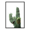Cactus Poster Print, Saguaro Cactui, Home Wall Decor