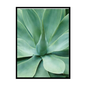 Minimalist Agave Minimalist Modern Art Poster Print