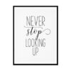 "Never Stop Looking Up" Childrens Nursery Room Poster Print