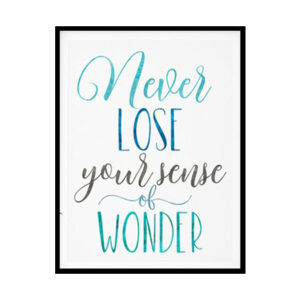 "Never Lose Your Sense Of Wonder" Quote Art Poster Print