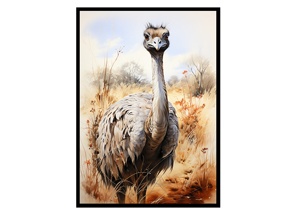 Feathered Beauty Ostrich Safari Prints, Wildlife Art, Ostrich Art Poster